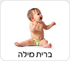 ברית מילה